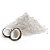 LEITE DE COCO EM PÓ VEGANO 100G - Imagem 1