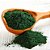 SPIRULINA PÓ 100G - Imagem 1