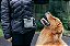 Bolsa de Petisco para Adestramento de Cães Cinza - Imagem 3
