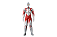 Ultraman Shin DX Mafex 207 Medicom Toy Original - Imagem 1