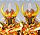 Krishna de Chrysaor Cavaleiros do Zodiaco Cloth Myth EX Bandai Original - Imagem 6