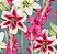 Estampa Floral Lírios  Ref:  E3465 - Imagem 1