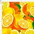 Estampa Laranjas Ref:  E1887 - Imagem 1