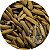 Malte de Arroz - Maltes Catarinense - Imagem 1