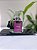 Flor de Figo - Home Spray - Imagem 1