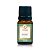 ESSENCIA PREMIUM BAMBU - 10 ML - Imagem 1