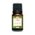 ESSENCIA PREMIUM PISTACHE - 10 ML - Imagem 1