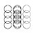 Jogo de anéis de Pistão 1,00 Chery Tiggo 2.0 16V - Imagem 1