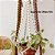 Suporte para Plantas - Escolha seu modelo favorito - Imagem 8