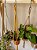 Suporte para Plantas - Escolha seu modelo favorito - Imagem 6