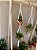Suporte para Plantas - Escolha seu modelo favorito - Imagem 9