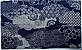 Flores nas Nuvens.Tec.Alg.Encorpado Japonês Trad.Navy. JV0065C (48x55cm) - Imagem 1