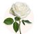 Coroa de Flores de Rosas Brancas e Lírios Brancos - Imagem 2