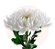 Coroa de Flores em Formato de Coração com Crisântemos e Rosas - Imagem 5