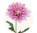 Coroa de Flores em Formato de Coração com Crisântemos e Rosas - Imagem 6