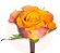 Coroa de Flores em Formato de Coração com Crisântemos e Rosas - Imagem 2