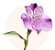 Coroa de Flores Velório 34 | NFe - Faturamos para Empresas - Imagem 5