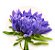 Coroa de Flores Velório 37 | NFe - Faturamos para Empresas - Imagem 5