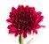 Coroa de Flores Velório 37 | NFe - Faturamos para Empresas - Imagem 4