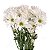 Coroa de Flores Ramalhete de Flores - Imagem 2
