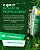 EXTRATO DE PROPOLIS VERDE 26% 30ML SULMINEIRA - Imagem 2