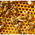 SMELLS MEL PROPOLIS  300 G - Imagem 3