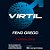 Virtil Feno Grego 300Mg 60 Comprimidos Bionatus - Imagem 2