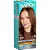 TINTURA MAXTON 7.78 MOCHA MOUSSE - Imagem 1