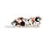 ISCA ARTIFICIAL  MATADEIRA MONSTER POPPER 6,4CM 11G COR: F27 - Imagem 2