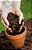 Terra vegetal adubada 5kg – Para Jardins, Vasos, Hortas e Gramados - Imagem 1