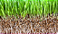 Vermiculita Média 3L  – Substrato Ideal para Plantas, Sementes e Jardinagem - Imagem 2