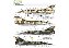 Decalque Mirage IIID e IIIE BR FAB 1/48 - FCM 48030 - Imagem 4
