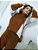 Conjunto Blusa Tricot Mousse Com Calca Flare - Imagem 6