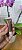 Gloss Labial  - 10ml - Imagem 4