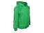 Conjunto Moletom Juvenil Verde Bandeira - Imagem 4