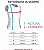 Kit 5 Camiseta Lisa Regata juvenil 100% Poliéster - Imagem 5