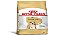 Racao Royal Canin Ad Bulldog Ingles 12kg - Imagem 1