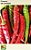 Semnete Pimenta de Cayenne 0,8g - Imagem 1