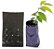 Saco Mudas Plast.Pto 10x20cm - Imagem 1