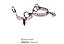 Espora Inox Adulta Comum 107- Regalo Campeiro - Imagem 1
