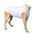 Roupa Cirurgica Pet Nr-5 Ss360 - Imagem 1