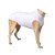 Roupa Cirurgica Pet Nr-7 Ss362 - Imagem 1