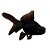 Peixe Telescopio Negro P/m - Carassius Auratus - Imagem 1