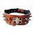 Coleira Pit Bull Couro Com Cravo em Ponta N6 - Murano - Imagem 1