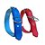Coleira Nylon Couro Eva N5 - Bicho Com Luxo - Imagem 1