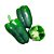 Muda Pimentao Hibrido Supremo Verde Pote - Imagem 1