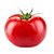 Muda Tomate Hib Longa Vida Compack Pote - Imagem 1