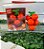 Borracha Escolar Cereja Infantil Desmontável Fruit Party QH-8445 - Imagem 9