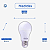 Lâmpada Bulbo Led 9w Elgin 6500k Branco Frio Bivolt - Imagem 7