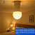 Lâmpada LED 12W 6500K Luz Branca Bivolt Ourolux - Imagem 2